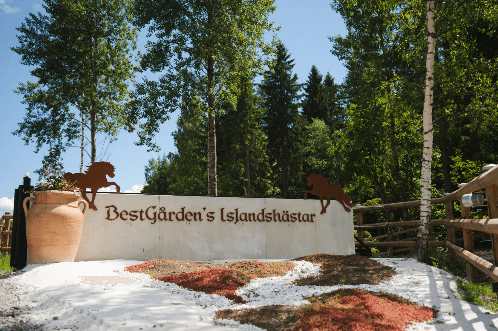 BestGården's Islandshästar